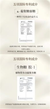 VLA國際微拉平臺 優(yōu)質(zhì)商家推薦與計算機軟件技術(shù)開發(fā)指南