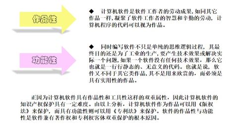 計(jì)算機(jī)軟件知識(shí)產(chǎn)權(quán)與保護(hù) 技術(shù)開發(fā)中的核心議題